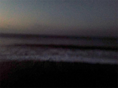 シーバスくん！