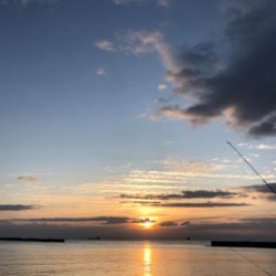 カレイ狙いのキス