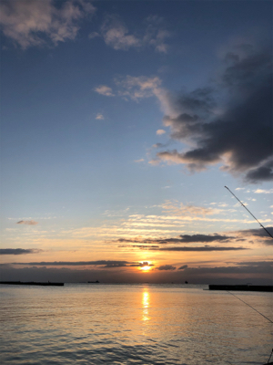 カレイ狙いのキス