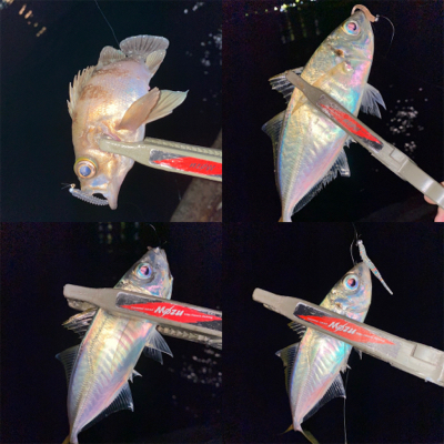 アジングは、楽しい