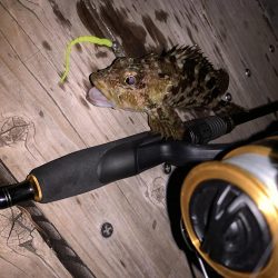 ライトゲーム！フォールで連発！