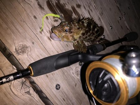 ライトゲーム！フォールで連発！