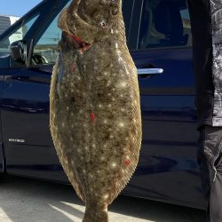 飲ませ青物のはずが