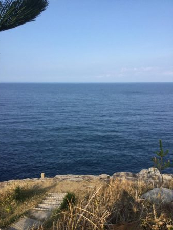 地磯ライトショアジギング、ナブラ打ち