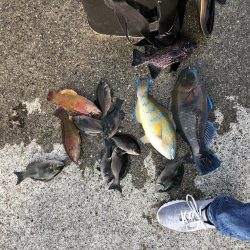 久々のフカセ釣り〜