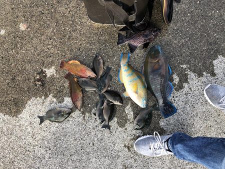 久々のフカセ釣り〜