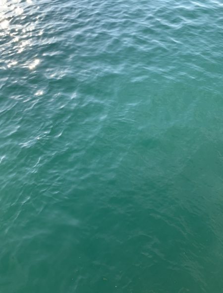 連休のアジング