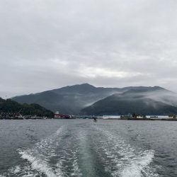 ボートロックフィッシュ