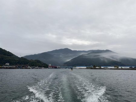 ボートロックフィッシュ