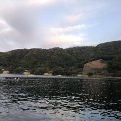 イカさんご機嫌　ラッキーあり