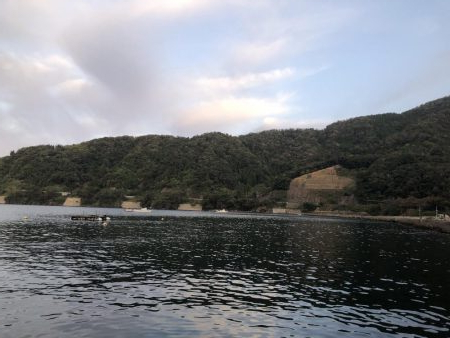 イカさんご機嫌　ラッキーあり