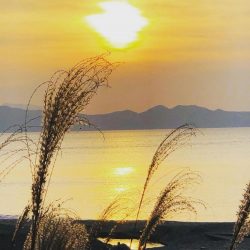 15打数8安打！！