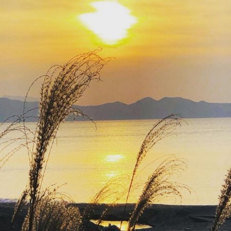 15打数8安打！！