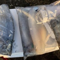 ラストエギング