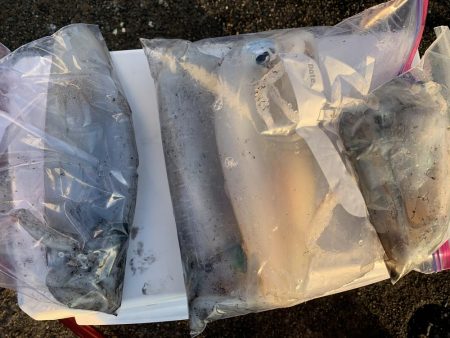 ラストエギング