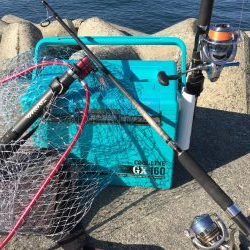 久しぶりに、、