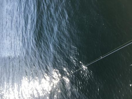 神戸F4太刀魚＆メジロ