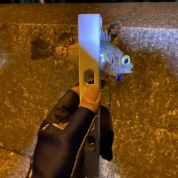 倉橋でアジング