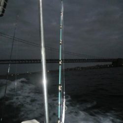 【リタックル】にて神戸沖タチウオジギング