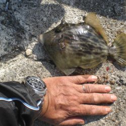 チャリ子も居ない