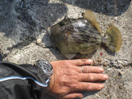 チャリ子も居ない