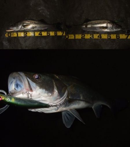 パターンを掴んで連発