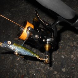 チーバスパラダイス…。