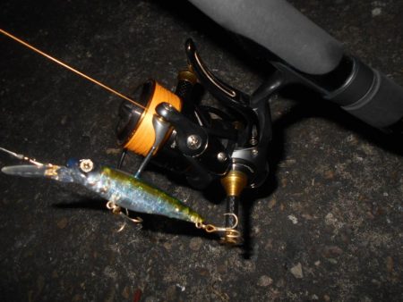 チーバスパラダイス…。