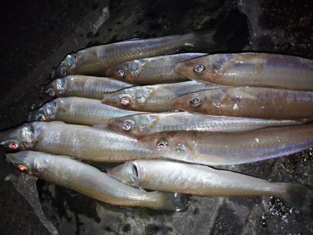 ライトキャロちょい投げ