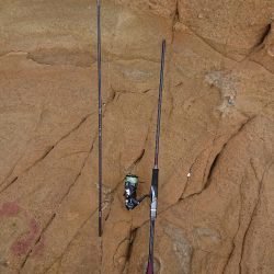 くやしいです( TДT)