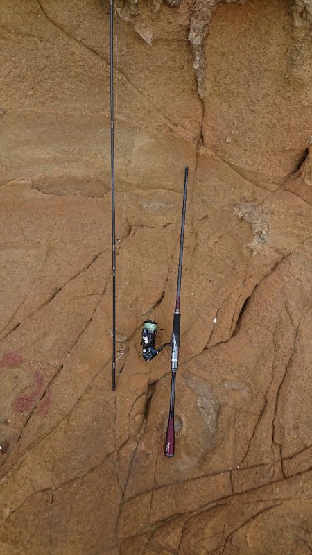 くやしいです( TДT)