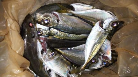 澄み潮を避けて