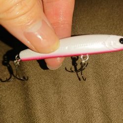 探そうぜ！シーバスボール！