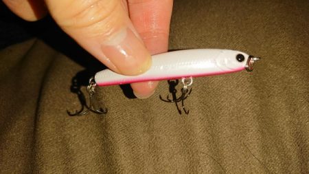 探そうぜ！シーバスボール！