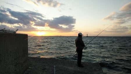 播磨新島のキスが久々に爆釣しました