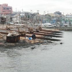 7時から江井ヶ島のキス調査