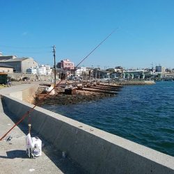 強風の江井ヶ島釣行