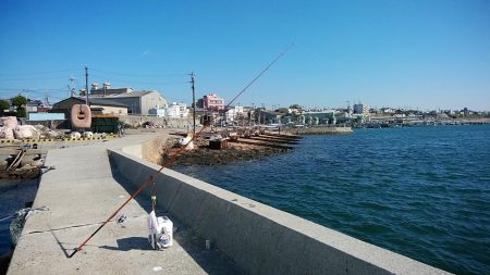 強風の江井ヶ島釣行