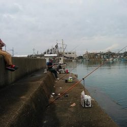 僅かな時合いを捉える事が出来ました