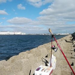 今年も不発の東二見西水路