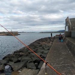 播磨新島調査後に江井ヶ島へキス釣行