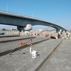 東二見白灯台波止へキス調査