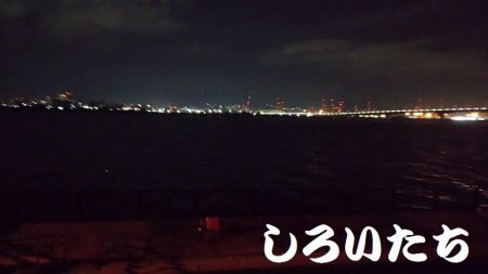 お刺身食べたい！まだいてる？！