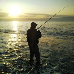 オオモンハタ☆ゲット！