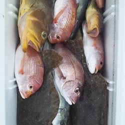 多魚種で爆釣