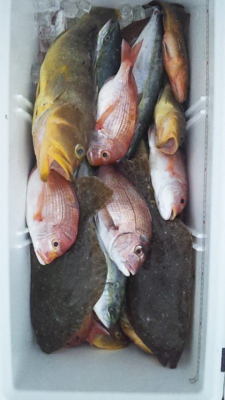 多魚種で爆釣