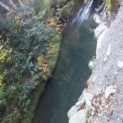 管理渓流釣り場