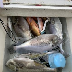 マイボート釣行