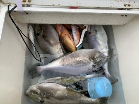 マイボート釣行