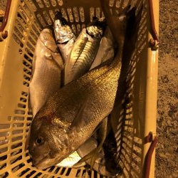 タイラバ・ジギング・バチコン